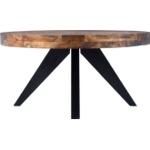TL-1020-14 16 x 58 x 32 in. Parq Oval Coffee Table
