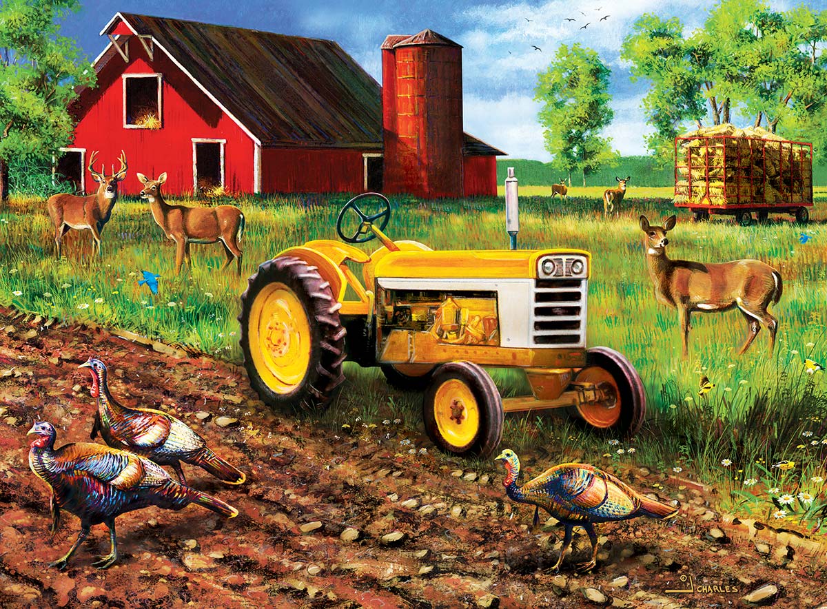 Master Pieces  Farm & Country Puzzles - 500 Piece, Pack of 4