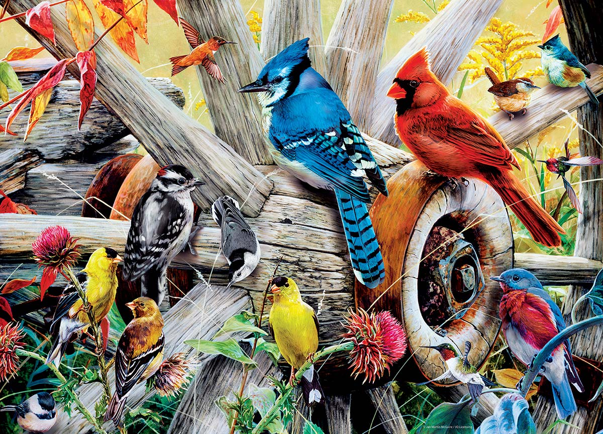 Picture of Audubon 31978 Audubon Backyard Birds Puzzle - 1000 Piece