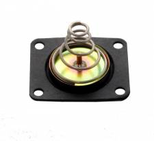 Diaphragm Quick Fuel Pumps Diaphragm Kit - Gas