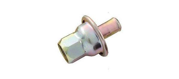 Evacuation Check Valve