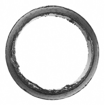 M77F17250 Exhaust Pipe Packing Ring