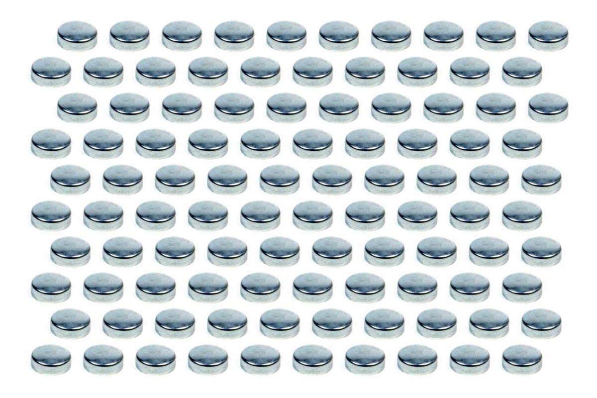 PIOEPC-41-100 Expansion Plugs - 1.62 in.