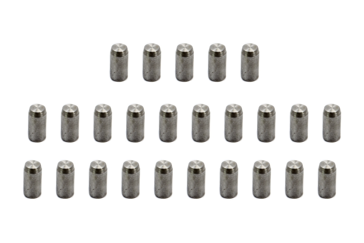 PIOPG-653-25 Solid Dowel Pins - Set of 25