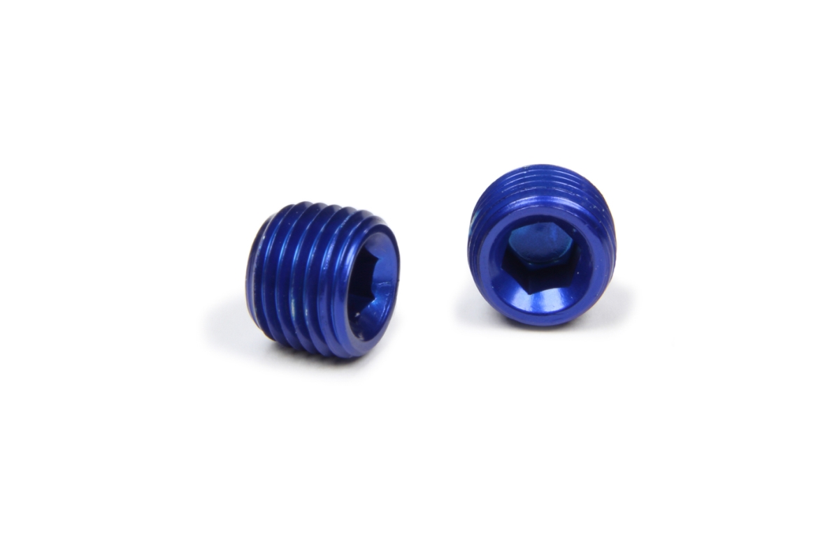 0.06 in. Allen Socket Plug - 0.25 in. NPT - Pack of 2