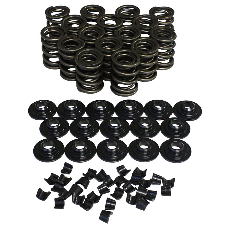 98438-K12 1.46 in. 10 deg Dual Valve Spring Kit with Damper
