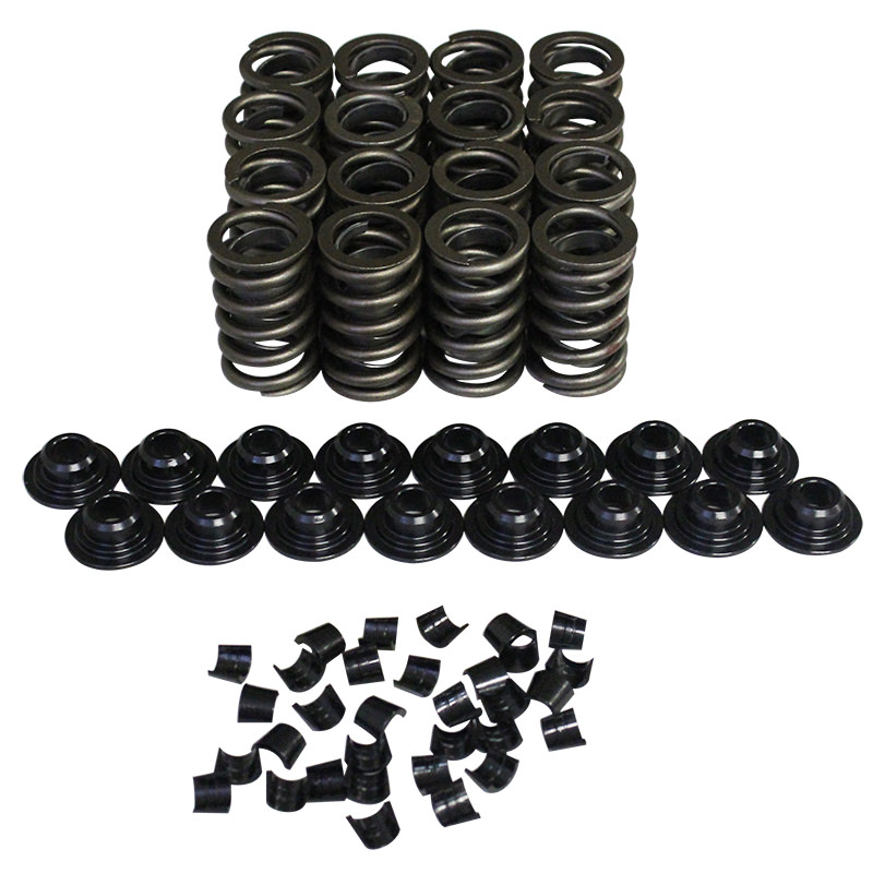98214-K11 1.25 in. OD Single with Damper Valve Spring Kit