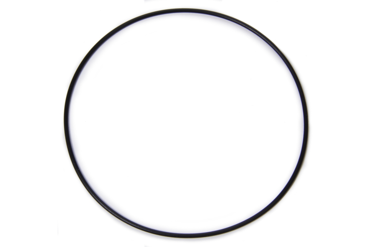 19166178 O-Ring Seal LSX Block Cam Thrust Plate