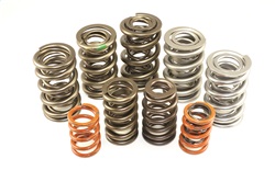 VWE005 1.09 in. Outer Valve Spring Set, Pack of 8