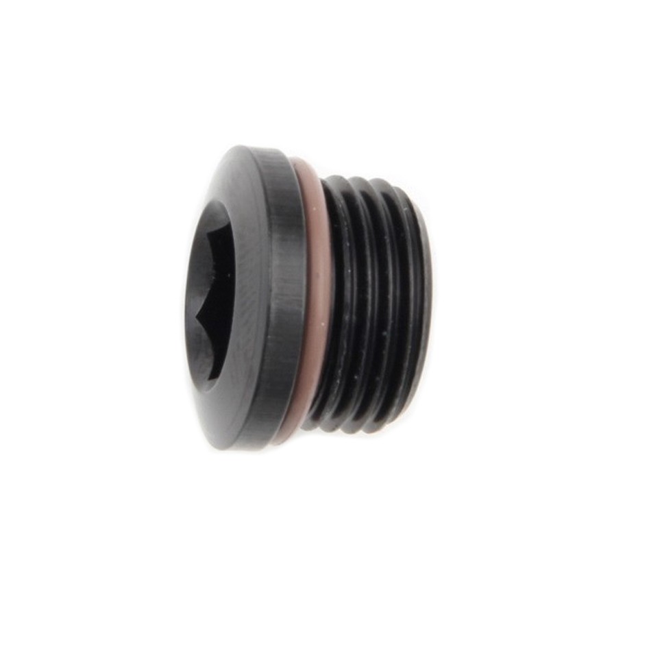 481304-BL No.4 Port Plug with Hex Socket
