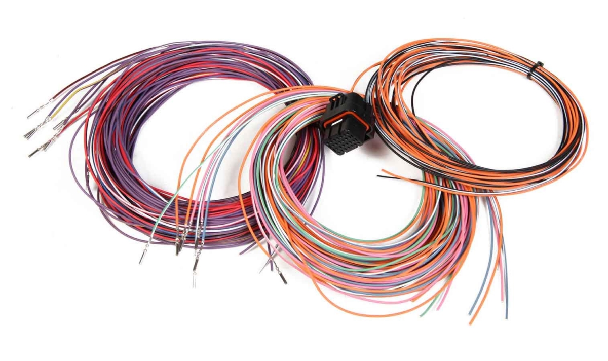 J3 Auxiliary Input & Output Connector Wiring Harness with Dominator EFI