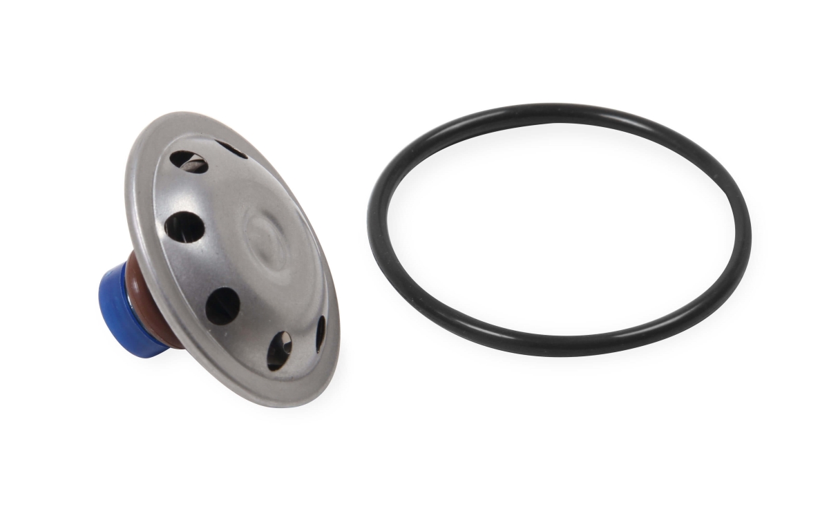 HLY12-878 Fuel Pressure Regulator Rebuild Kit with  Filter & Regulator