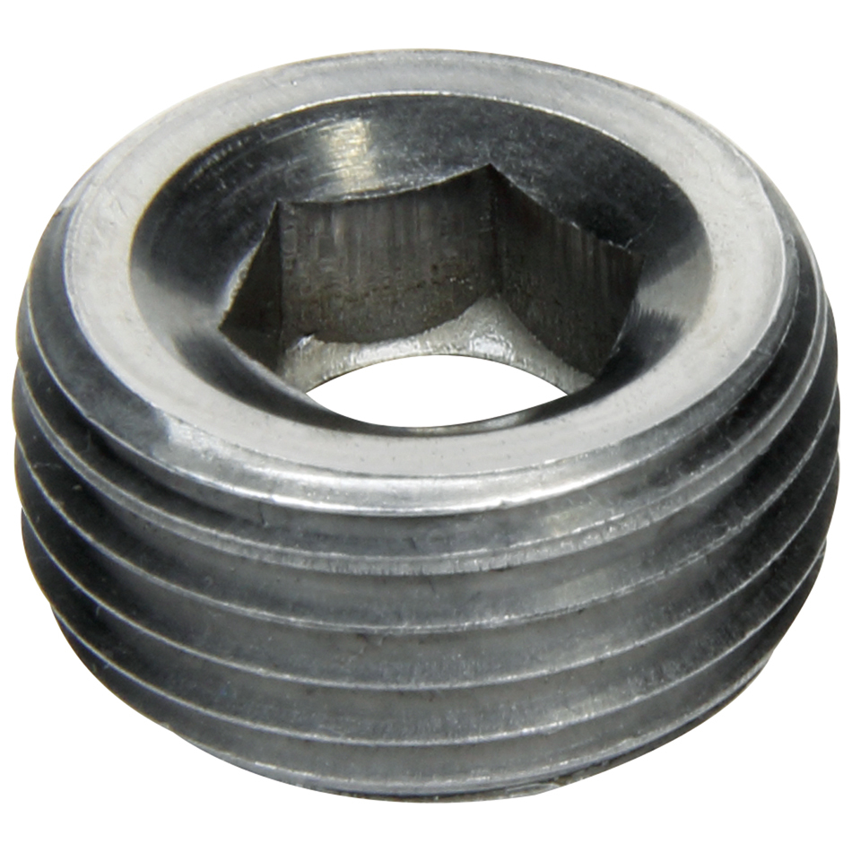 0.5 in. NPT Stainless Steel Allen Head Plug, Zinc