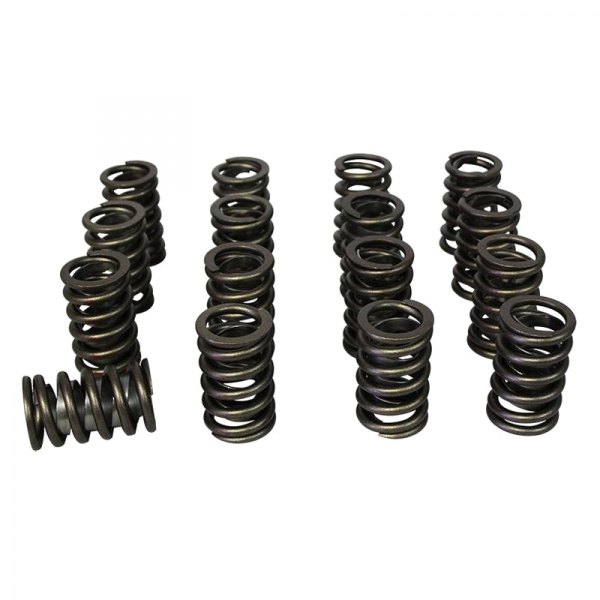 HRC98511 1.48 in. Single Valve Spring Set with Damper