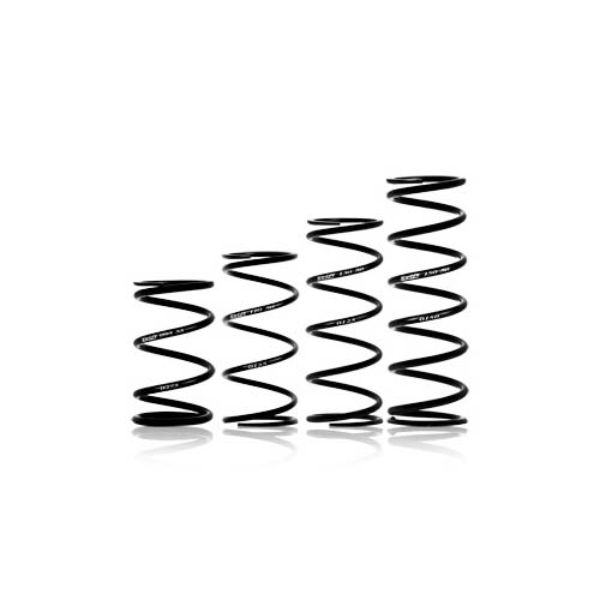 13 x 5 in. 225 lbs Conventional Rear Coil Spring