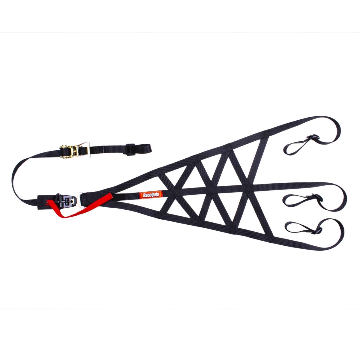 RQP828998 SFI 37.1 Net Side Rollcage, Black