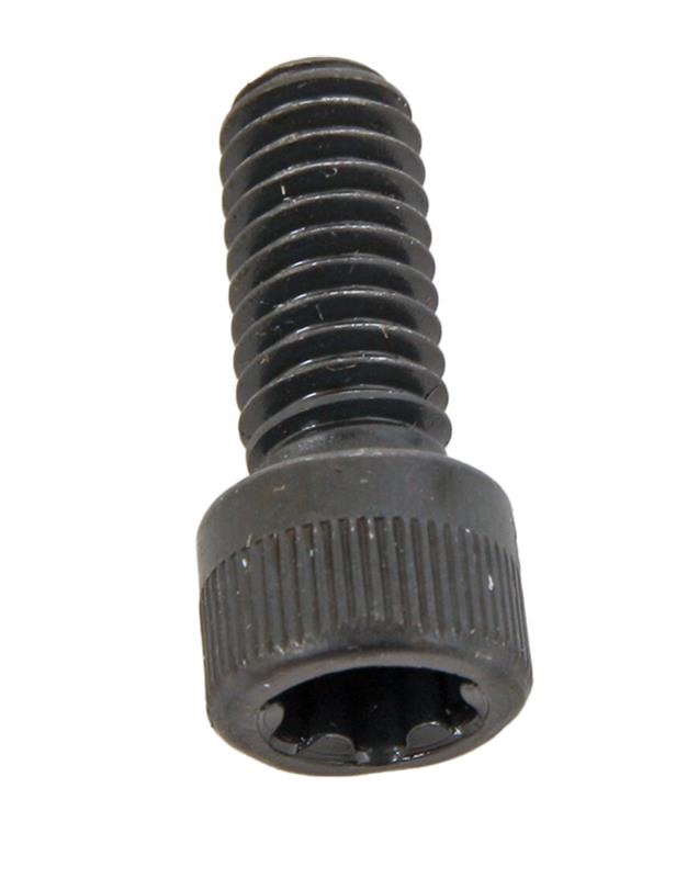 0.3125 x 0.750 in. T45 Belt Drive Replacement Component Bolt, Black