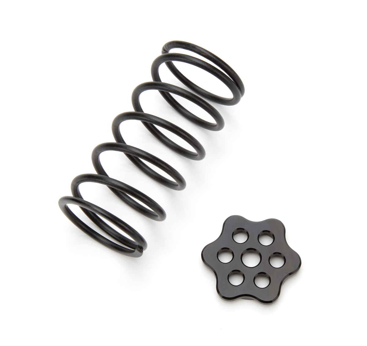 Master Cyinder Return Spring Kit, Black