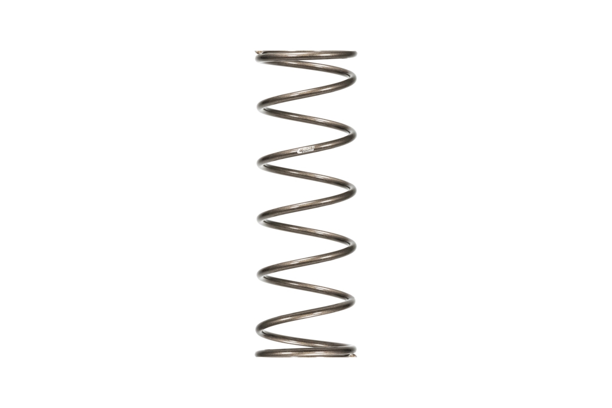 EIBPR2000.500.0070 5 in. OD Platinum Series Conventional Rear Coil Spring with 20 in. Length Steel - Platinum Powder Coat