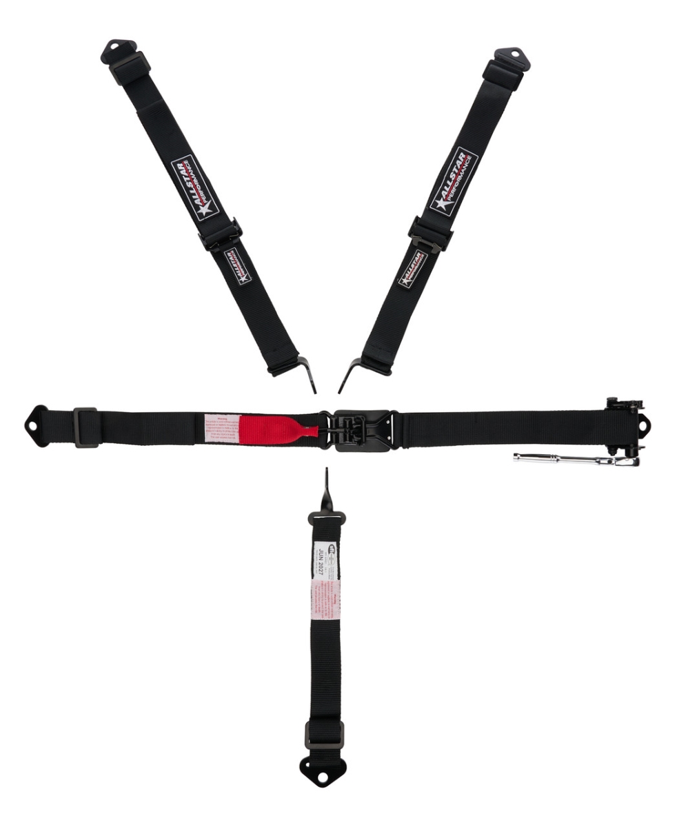 ALL951171 2 in. 5 Point Harness Latch & Link Ratchet Belts