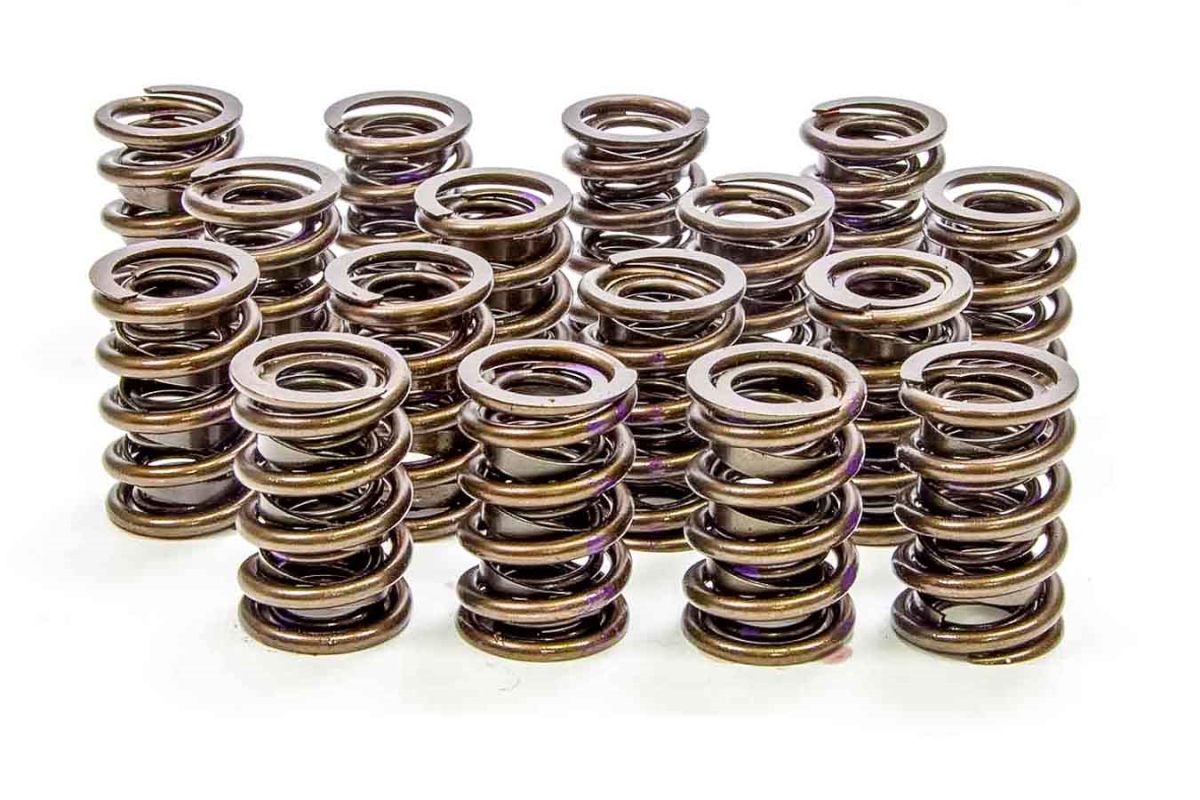 4005 1.240 Dual Valve Springs, Set of 16