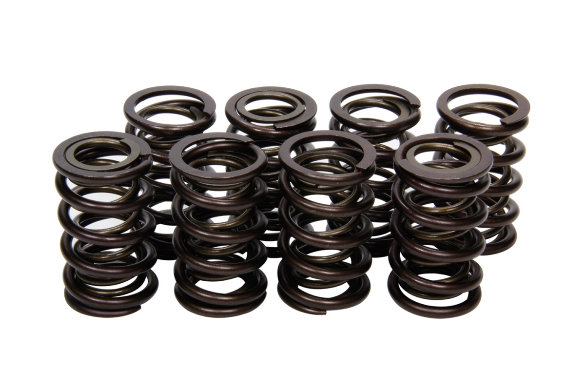 70058 Valve Springs, Nissan SOHC