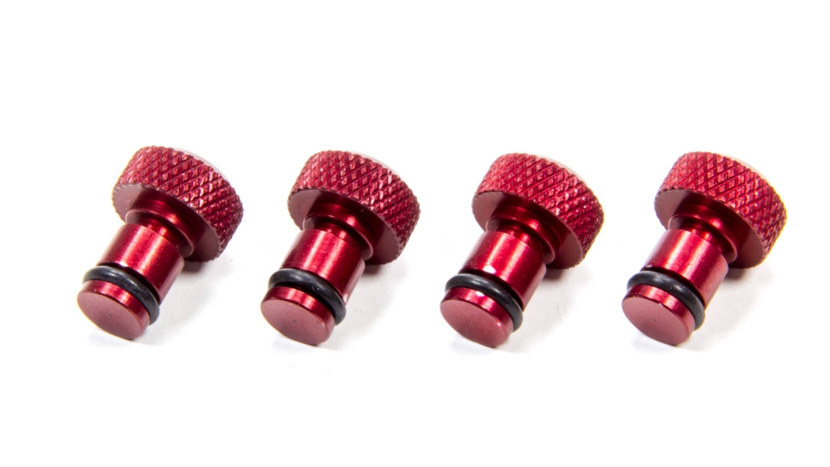 KCP713-001-S Car Wash Plugs