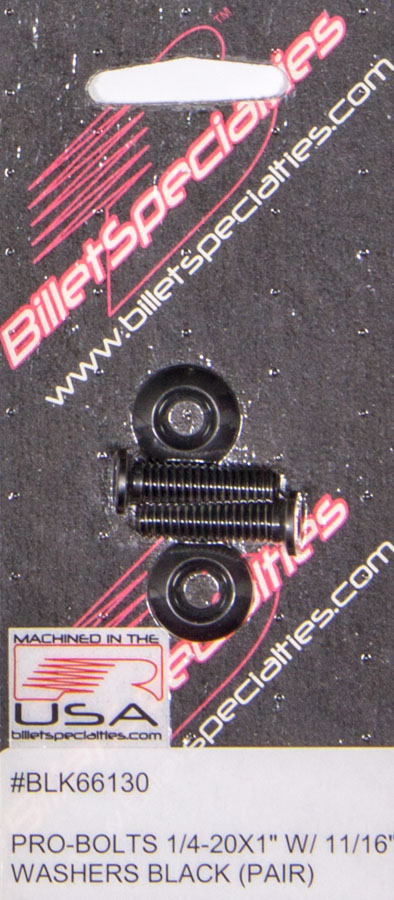 BLK66130 0.25-20 x 1 in. Stainless Steel Bolts, Black