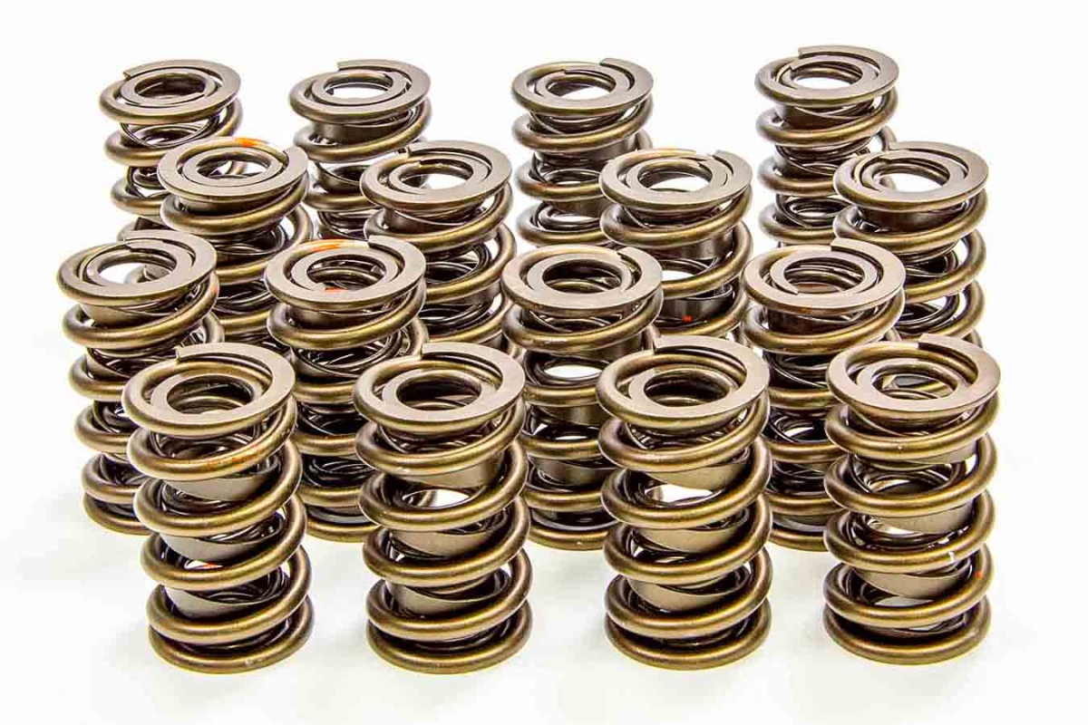 9365PLUS 1.560 in. Valve Springs