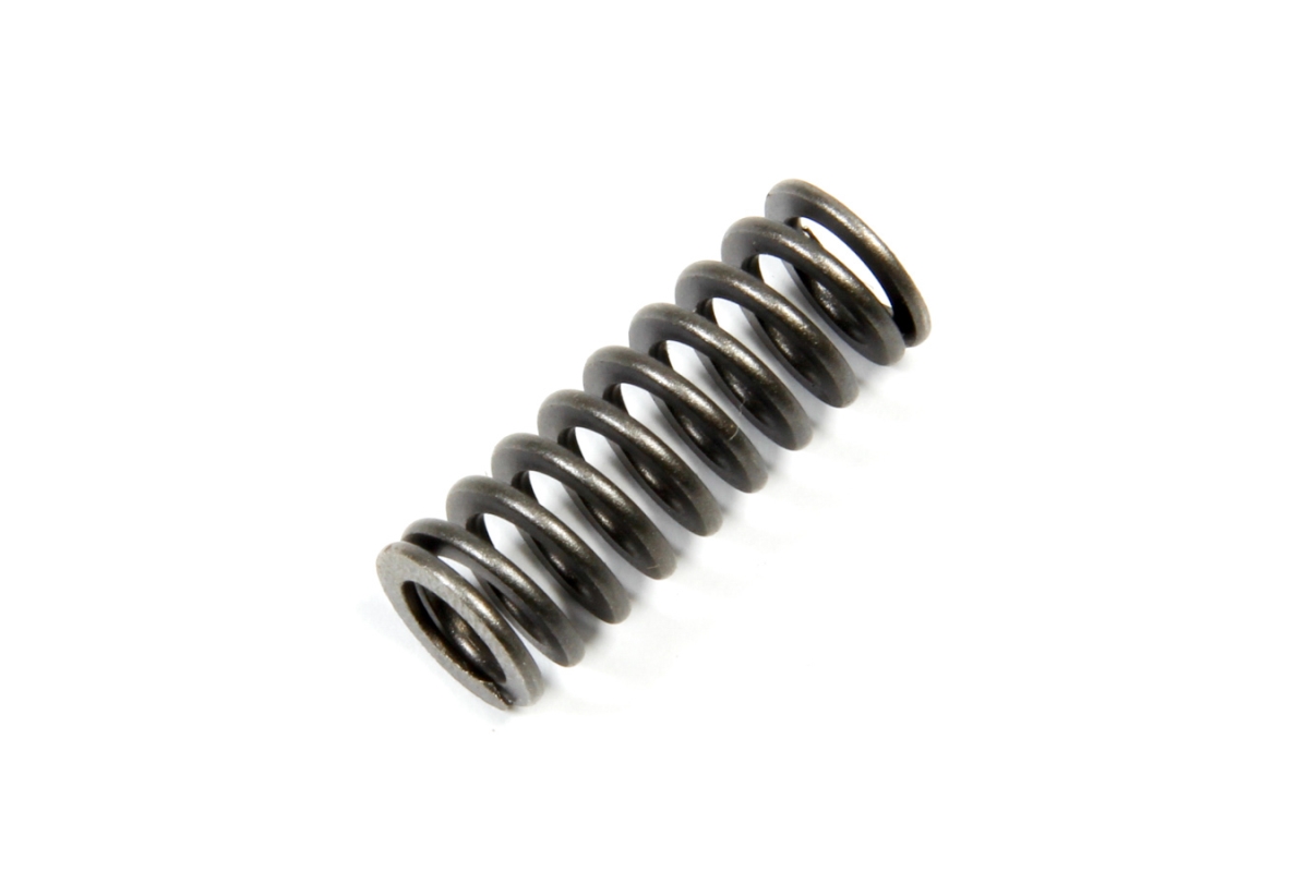 SG-1078 Piston Return Spring