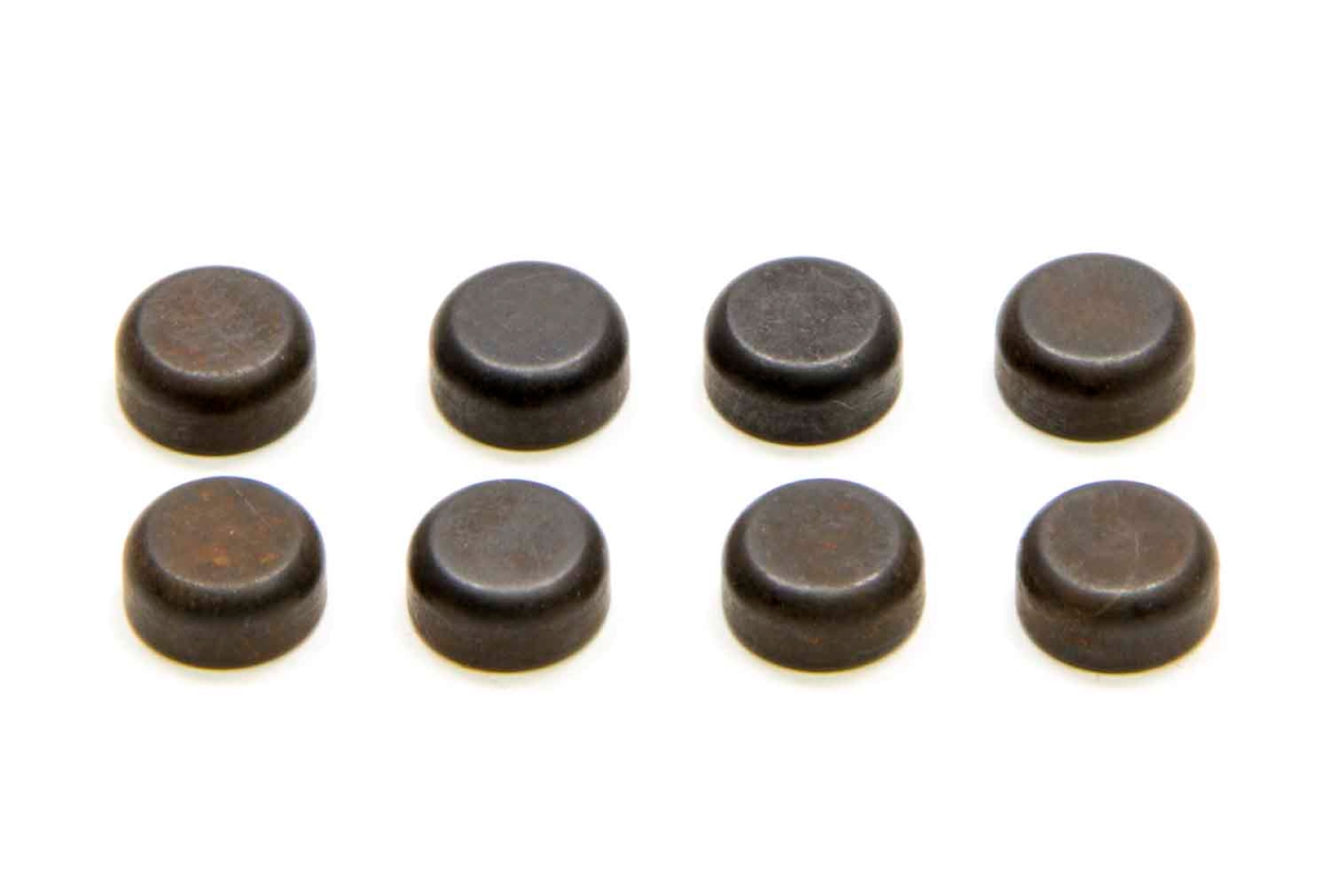42301-8 0.34 in. Valve Tip Wear Caps