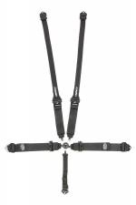 57341231 3 to 2 in. 5 Point Harness Cam Lock