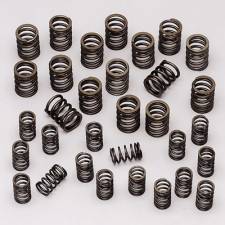 68304-16 1.25 in. Valve Springs with Damper