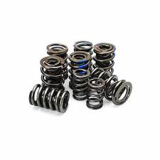 68324-8 Dual Valve Springs