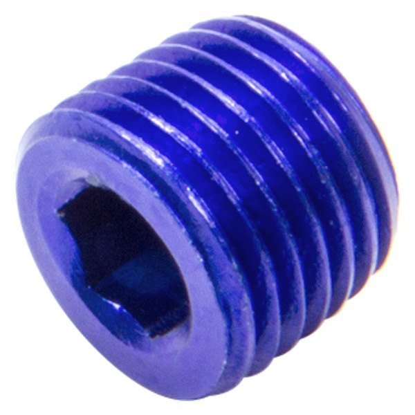 493203 0.25 in. MPT Allen Pipe Plug