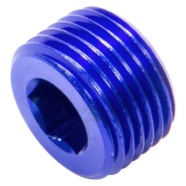 493204 0.37 in. MPT Allen Pipe Plug