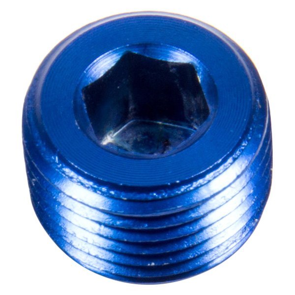 493205 0.5 in. MPT Allen Pipe Plug