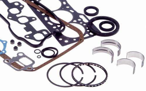 SEA205-653M Moly Re-Ring Kit