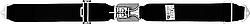 55 in. Latch & link Pull Down Bolt In Seat Belt