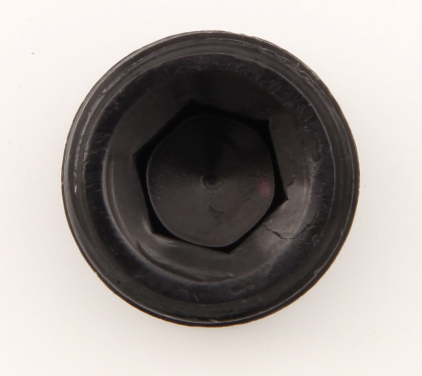 0.50 in. Allen Pipe Plug - Black
