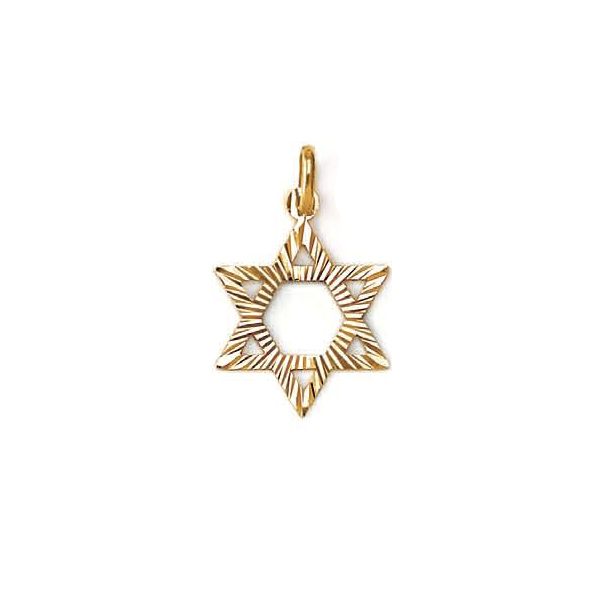 Picture of Cheri Jadore PN1930-14Y 14K Yellow Gold Star of David Pendant&#44; Silver - 1.7g