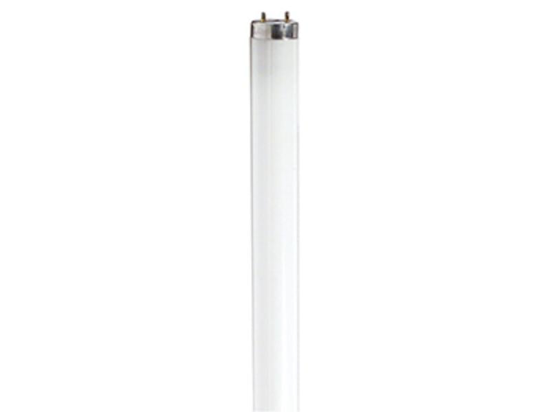 F17T8CW 24 in. Fluorescent Linear Replacement Tube Light Bulb