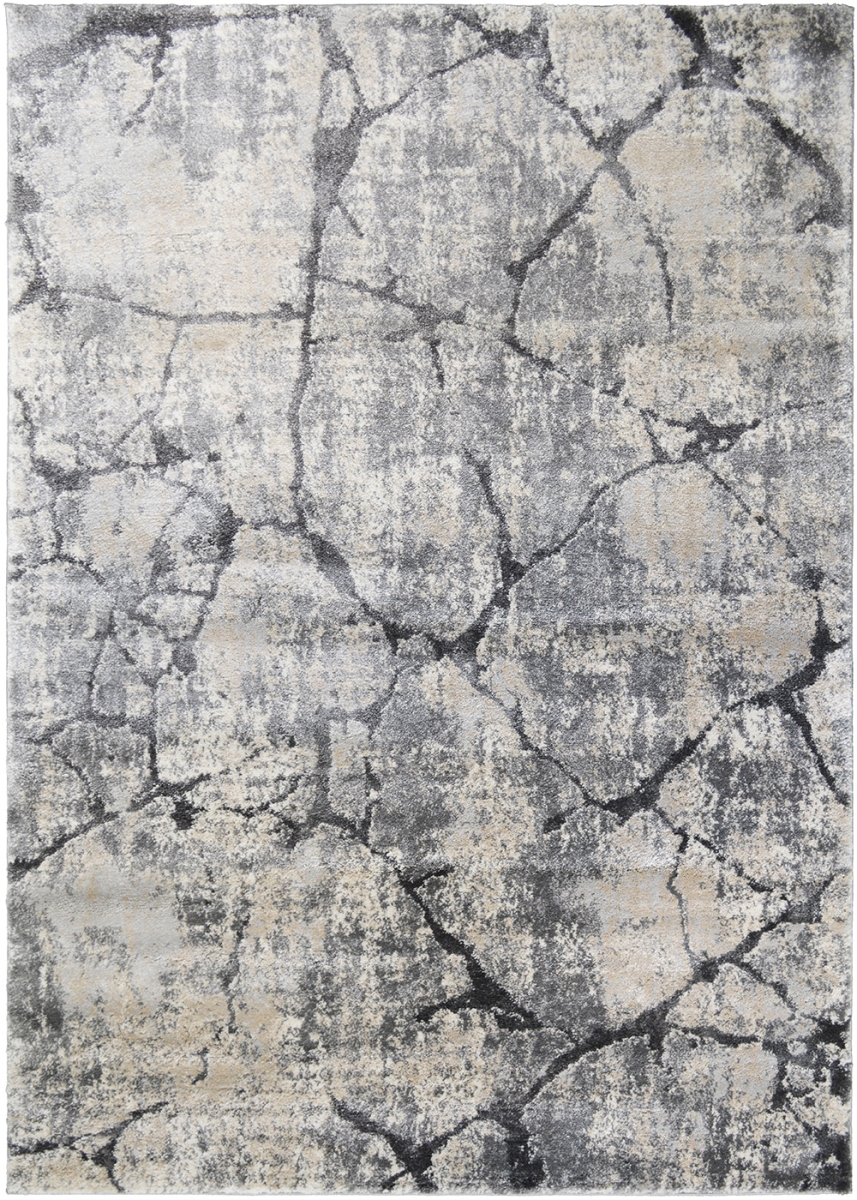 5 ft. 3 in. x 7 ft. 3 in. Pacific Astrid Area Rug - Gray