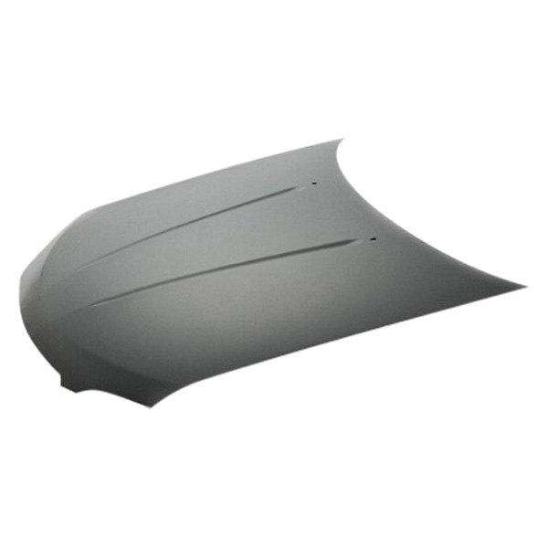 Hood Panel for 2004-2006 Sentra