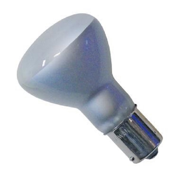 Incandescent Multi Purpose Light Bulb - Frosted