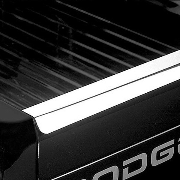 PUT52622P Stainless Steel Tailgate Guard for 1993-2010 Ford Ranger