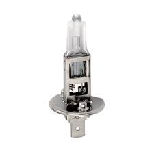 55W H1 Halogen Bulb