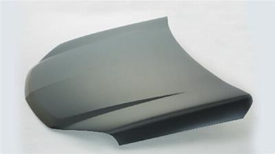 Hood for 2005-2009 Equinox