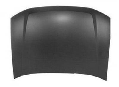 Hood for 2002-2009 Trailblazer