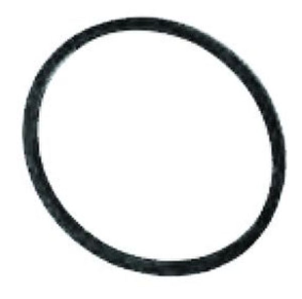 Piston Seal for Premier Disk Brake Caliper, Black